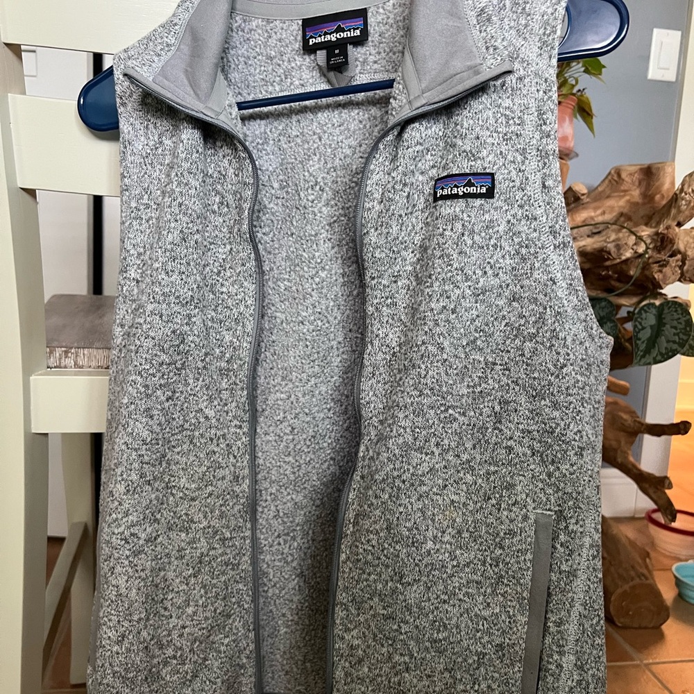 Patagonia Gray Fleece Vest